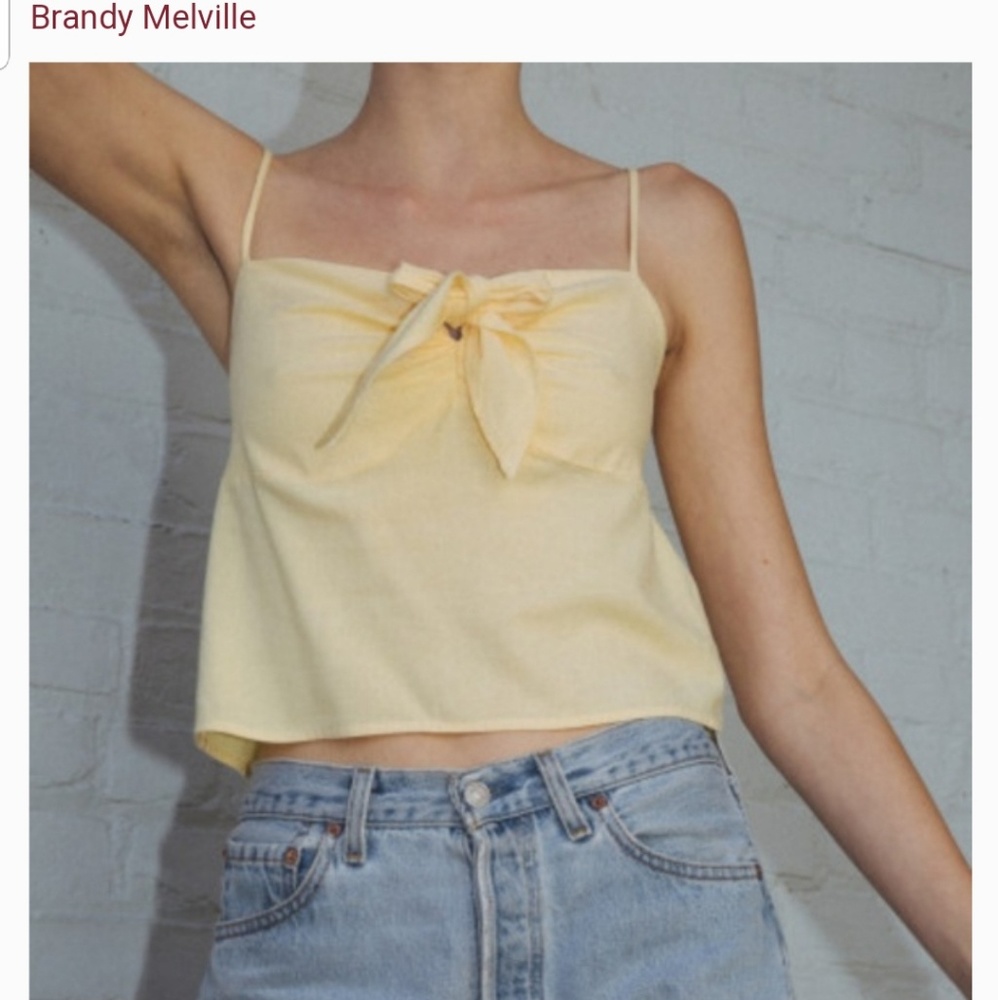 NWOT Brandy Melville Sasha tank - Picture 3 of 7